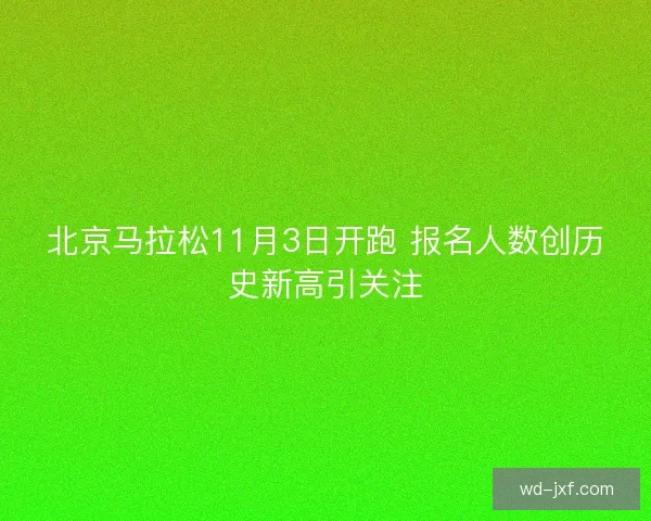 北京马拉松11月3日开跑 报名人数创历史新高引关注